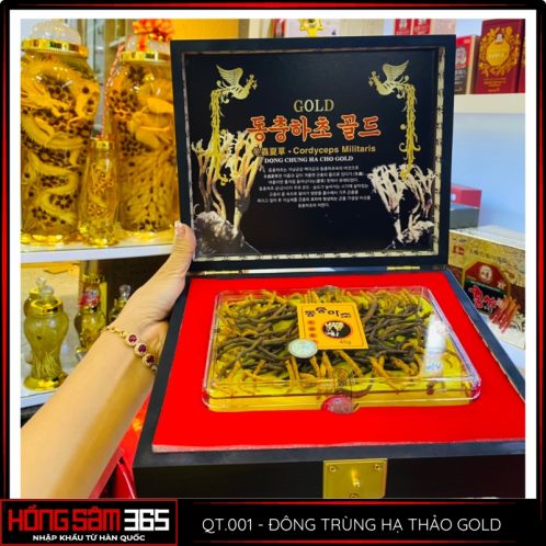 đông trùng hạ thảo gold