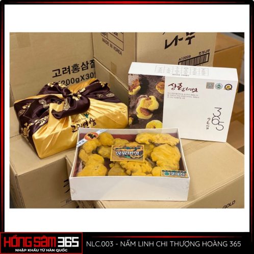 nấm linh chi thượng hoàng 365