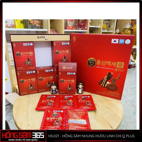 hồng sâm nhung hươu linh chi kgs q plus