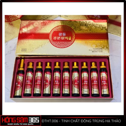 tinh chất đông trùng hạ thảo kwang dong