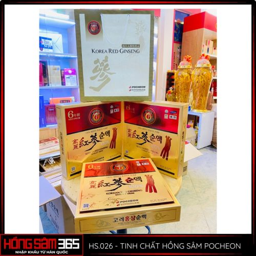 tinh chất hồng sâm pocheon